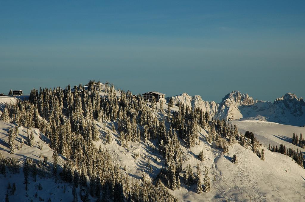 Ehrenbachhohe On Top Of The Mountain Kitzbühel Buitenkant foto